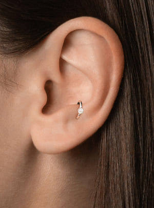 Piercing antitragus Barbarroja Tattoo