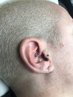 Piercing daith Barbarroja tattoo