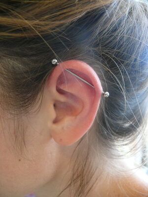 Piercing industrial Barbarroja Tattoo