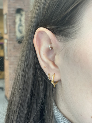 Piercing rook Barbarroja Tattoo