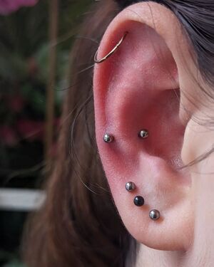 Piercing snug Barbarroja Tattoo