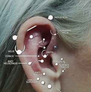 Tipos de piercings en las orejas tipos de piercing en la oreja