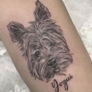 tatuajes pequeños en zaragoza perro yorkshire