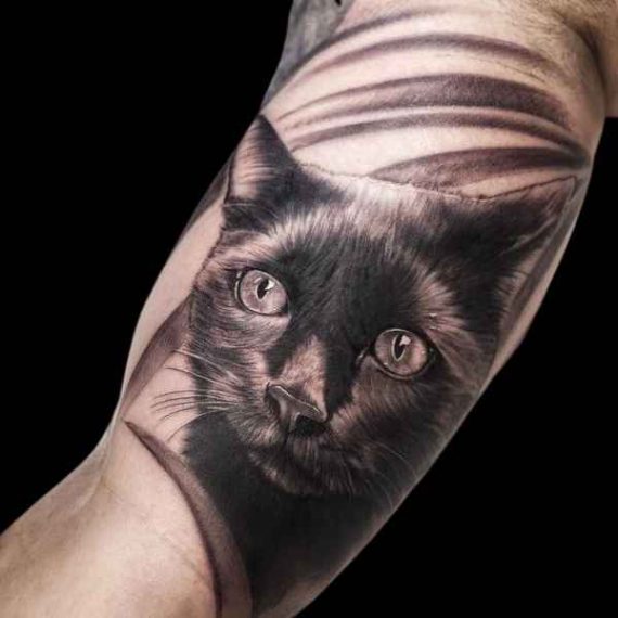 Tatuaje realista en Zaragoza gato negro