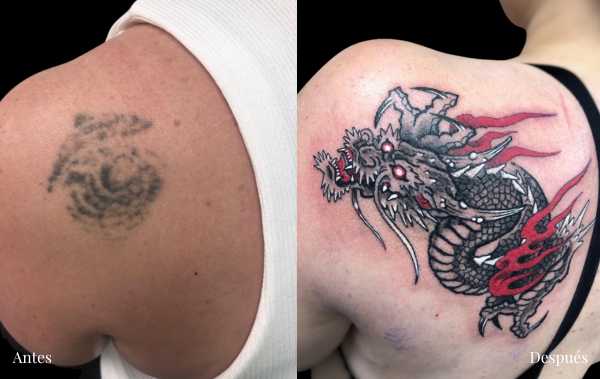 cover tattoo en Zaragoza dragon Barbarroja Tattoo