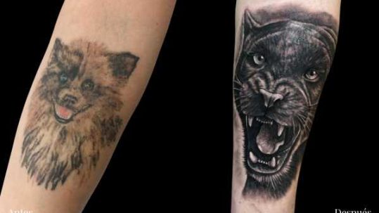 Cover tattoo en Zaragoza: un tatuaje para tapar otro cover tattoo en Zaragoza pantera Barbarroja Tattoo