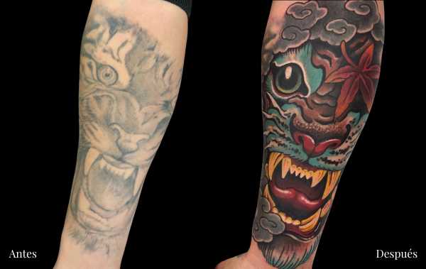 cover tattoo en Zaragoza tigre Barbarroja Tattoo