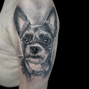 tatuajes en el brazo en zaragoza realismo perrito