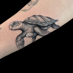 tatuajes en el brazo en zaragoza tortuga